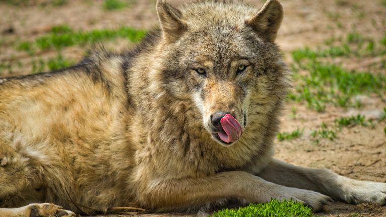 Adriaan Greyling/Pexels