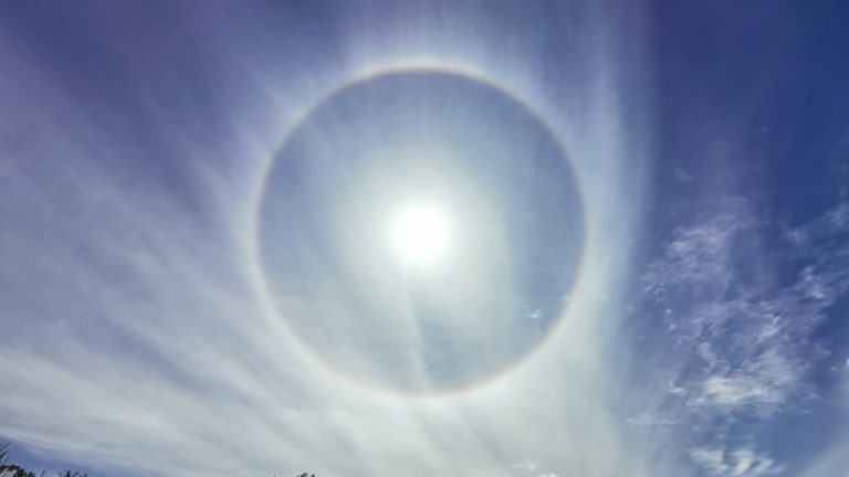 Image Credit: Patrick Looß - CC BY-SA 4.0/Wiki Commons