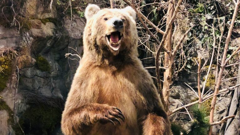 anvesh_clicks/Unsplash