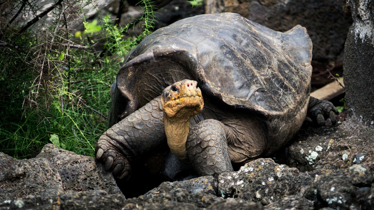 Jose Aragones/Pexels