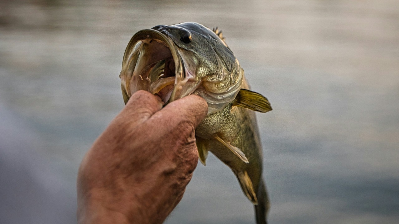 vanderspank/Unsplash
