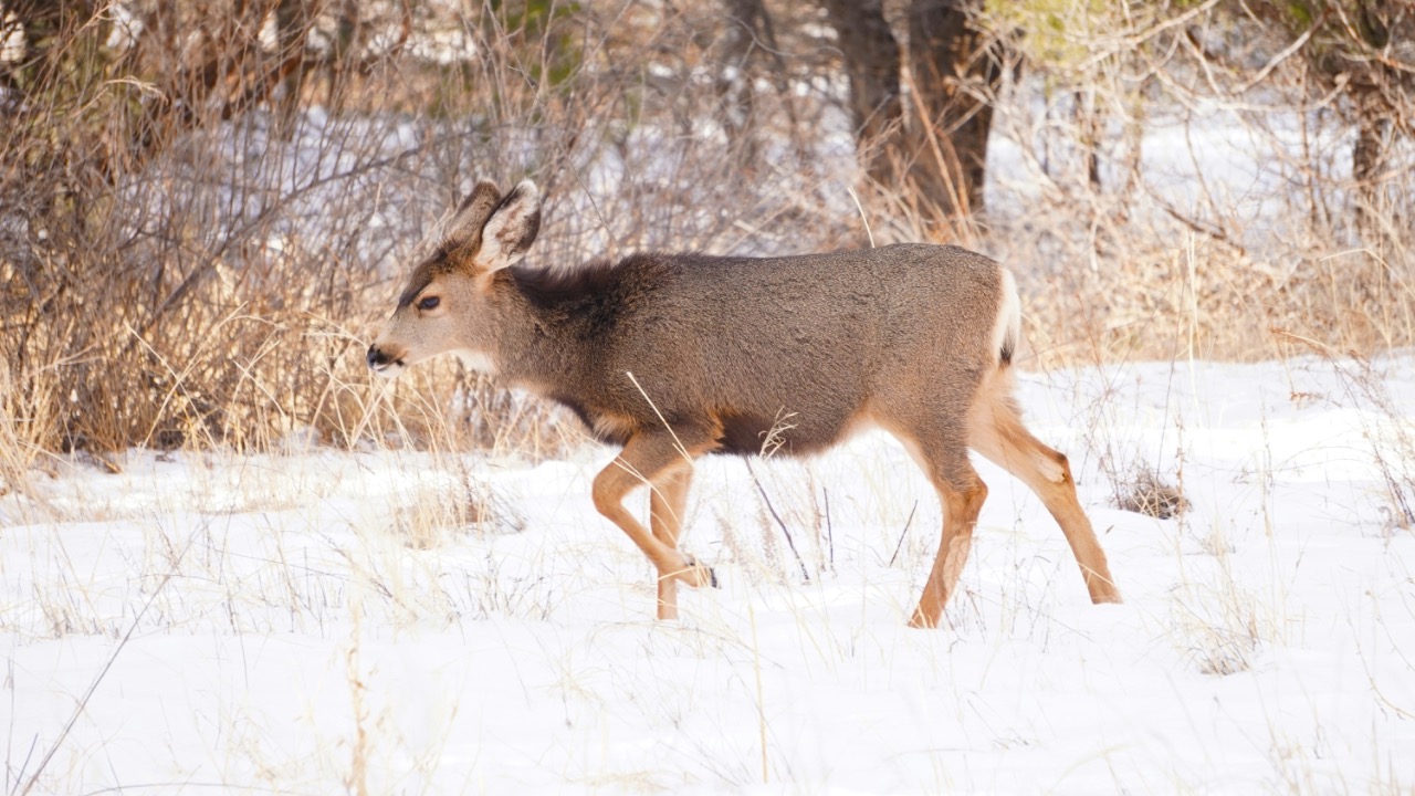 nathan_andress/Unsplash