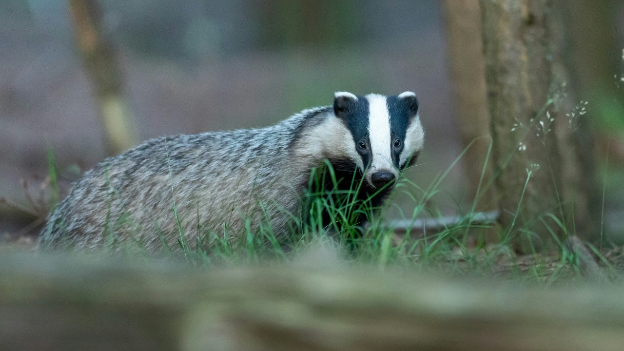 vincentvanzalinge/Unsplash