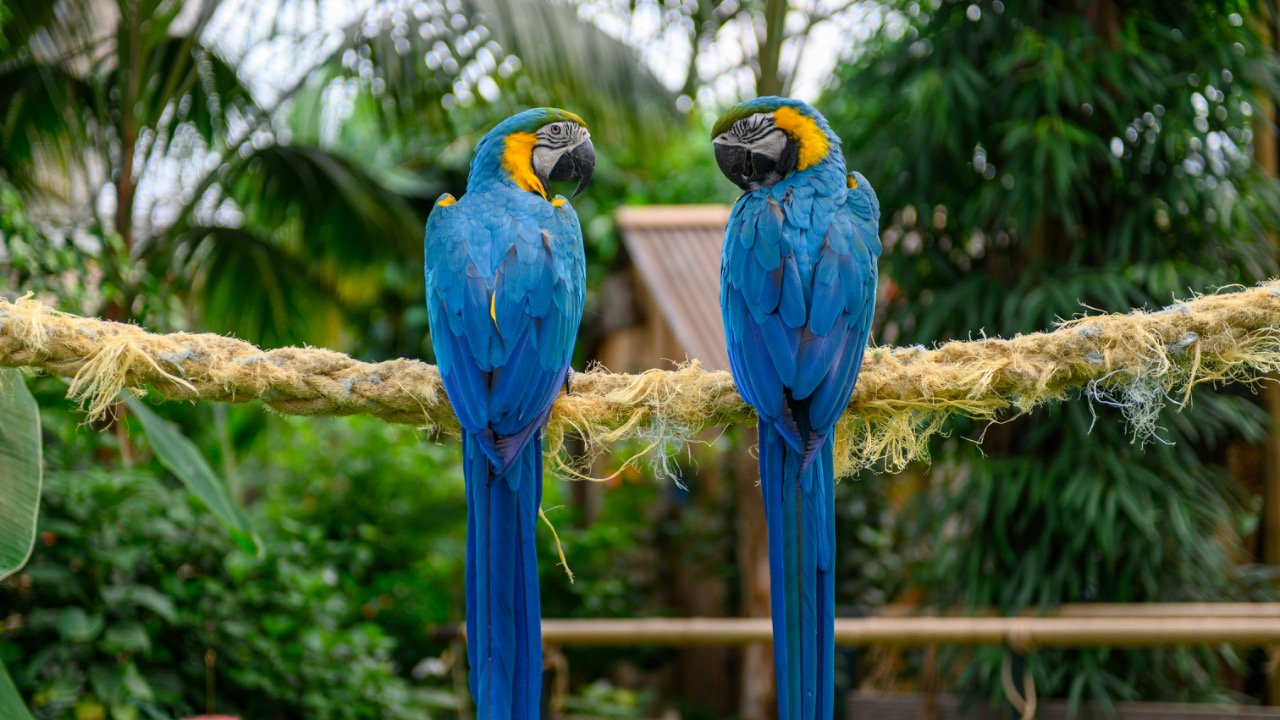 michelbosma/Unsplash