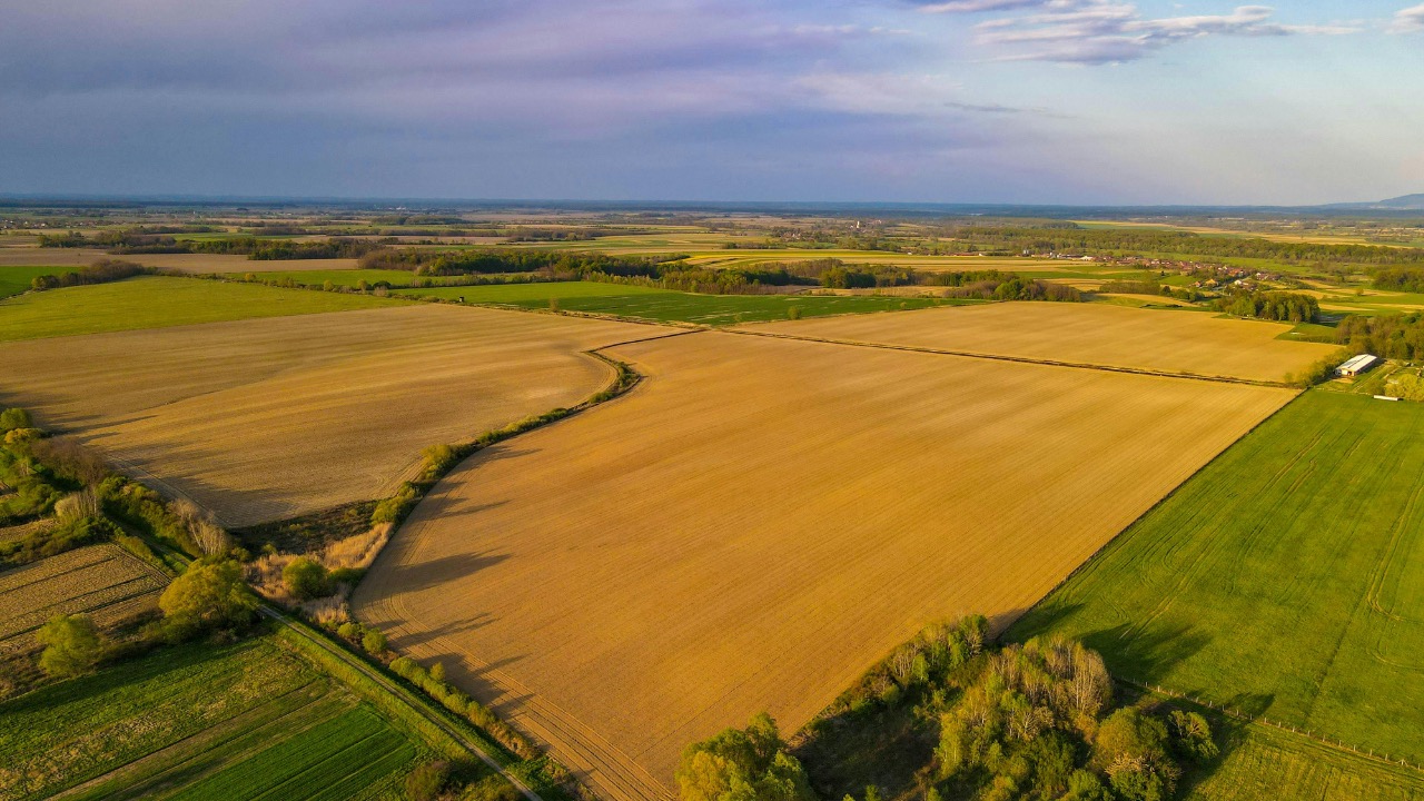 Vladimir Srajber/Pexels