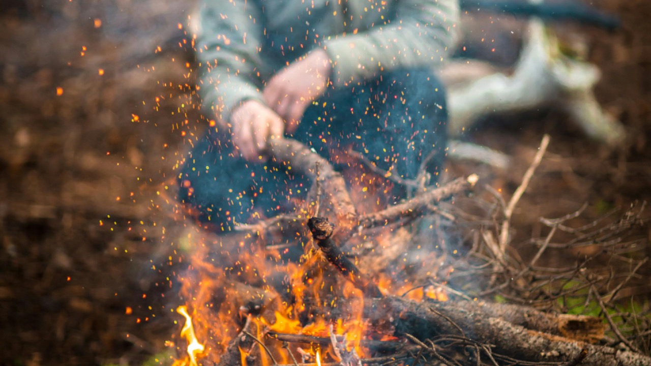 Jordan Bergendahl/Pexels