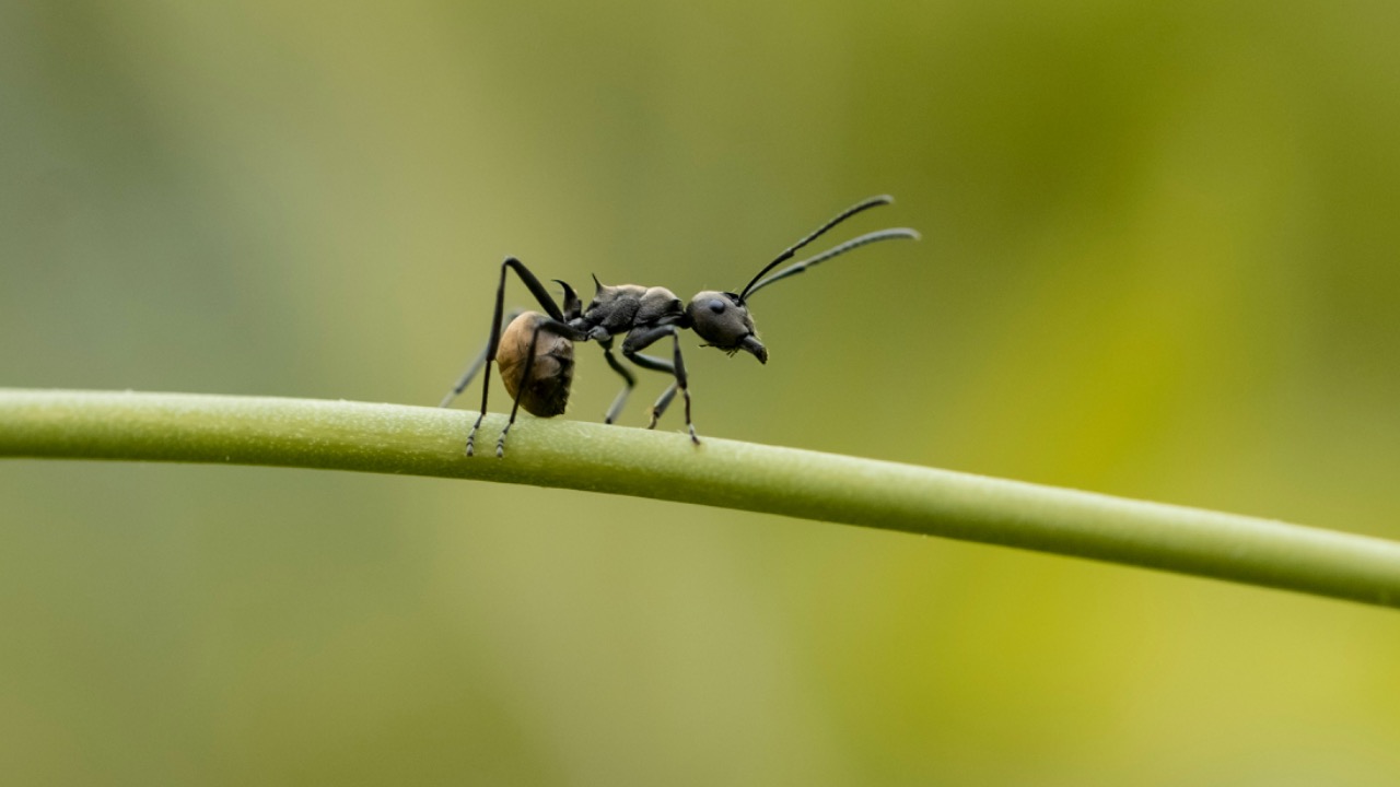 vdphotography/Unsplash