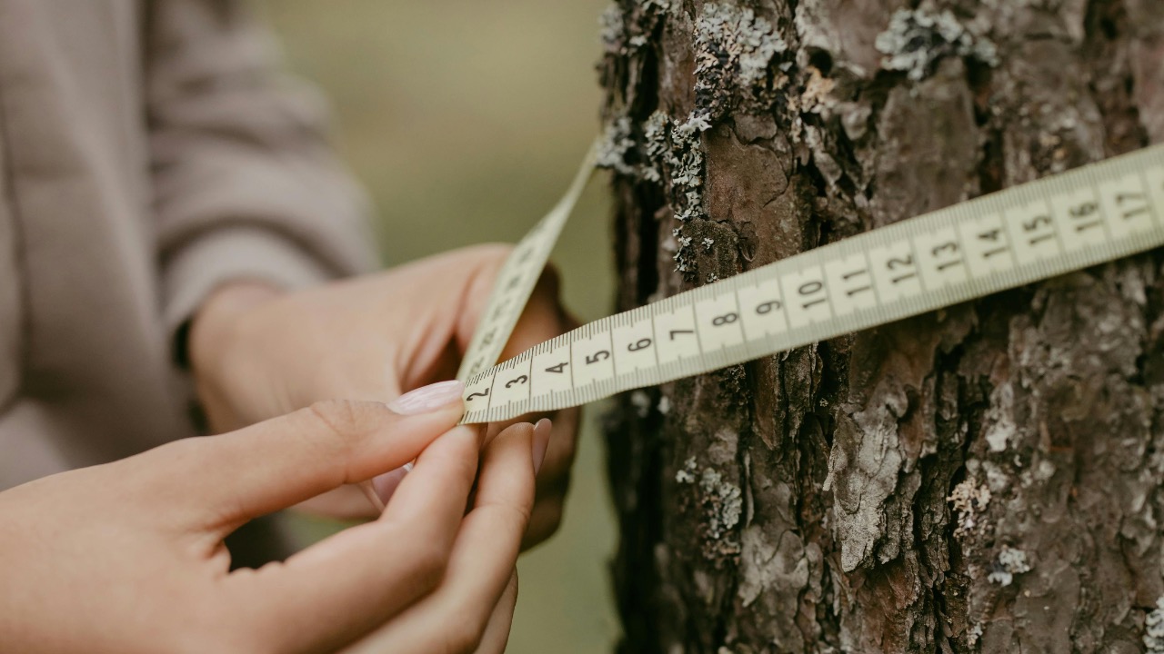 cottonbro studio/Pexels