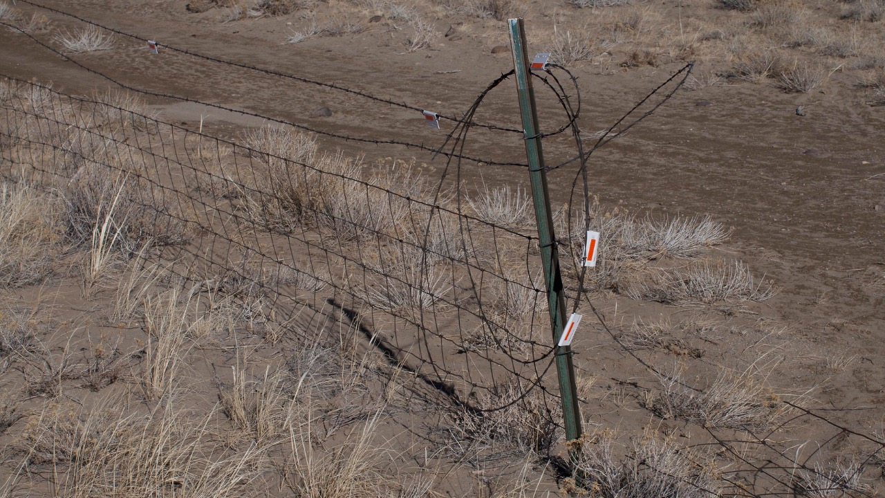 Image Credit: USFWS Mountain-Prairie - Public domain/Wiki Commons