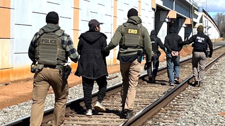 Image Credit: usicegov - Public domain/Wiki Commons