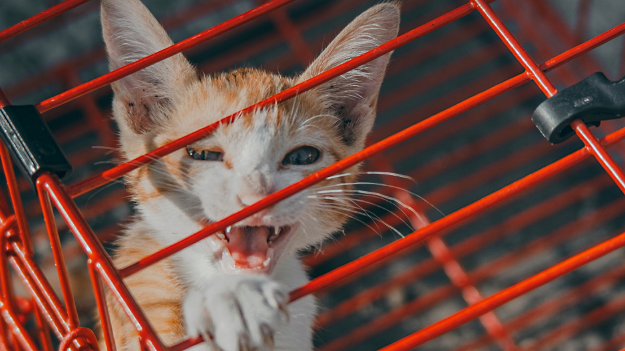 roadahead_2223/Unsplash