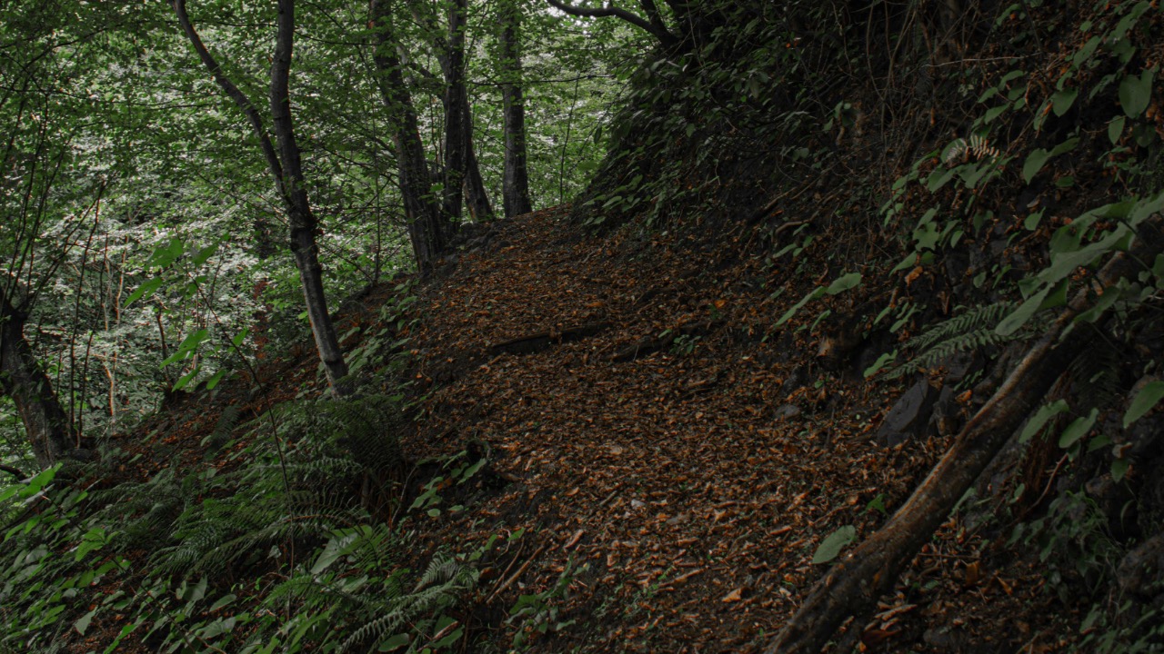 malkocoglu.raw ./Pexels