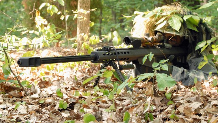 Image Credit: US ARMY - Public domain/Wiki Commons