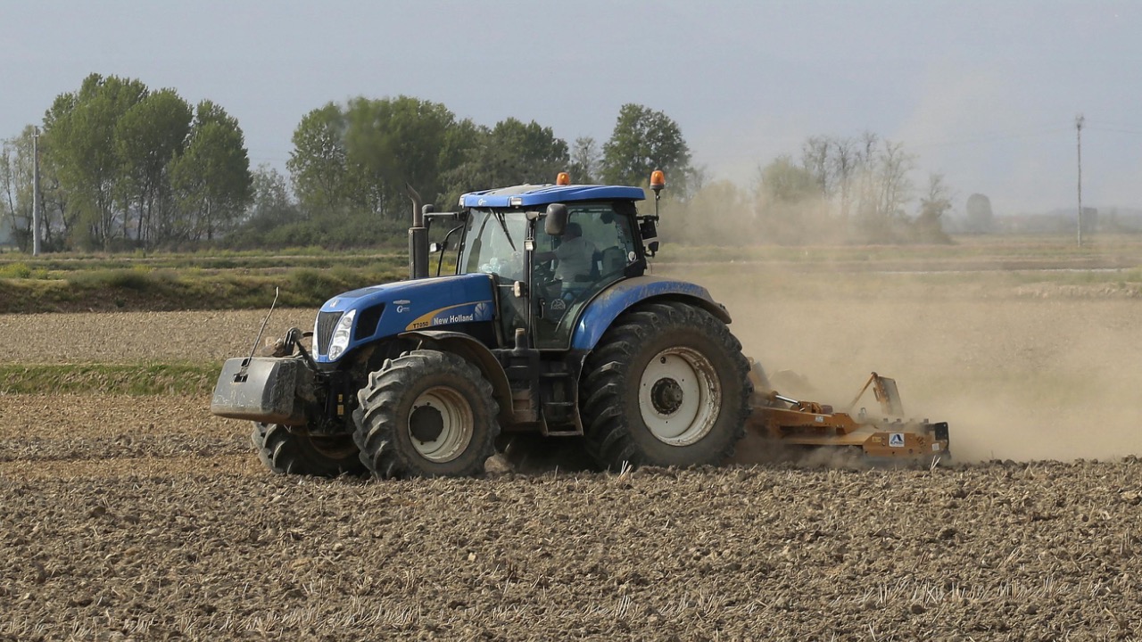 Giannino Nalin/Pexels
