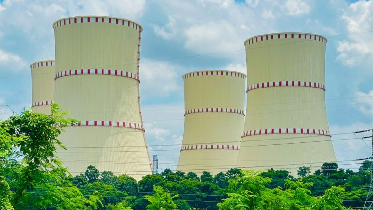 Sarowar Hussain/Pexels