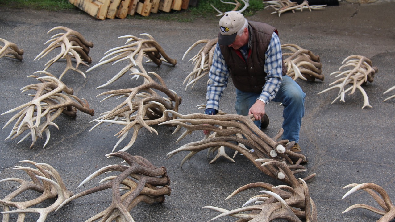 Image Credit: USFWS Mountain Prairie - Public domain/Wiki Commons