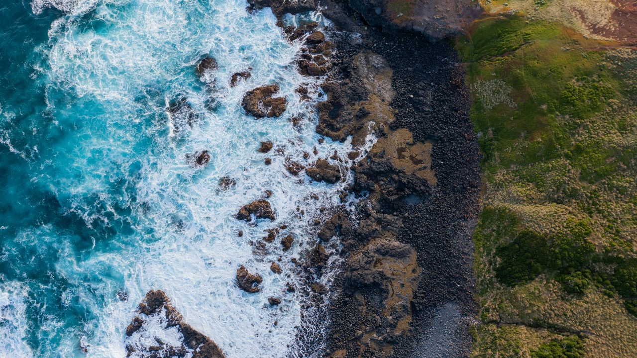 Dasun Ransinghe/Pexels