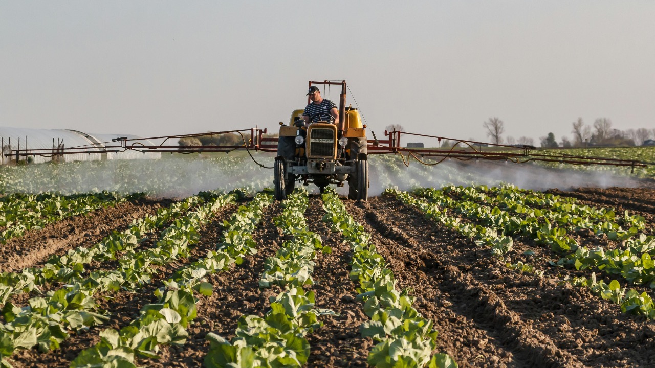 Aleksander Dumała/Pexels