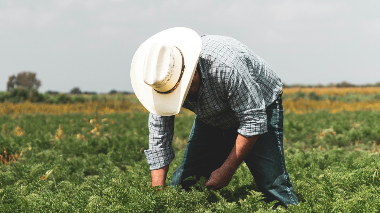 Los Muertos Crew/Pexels