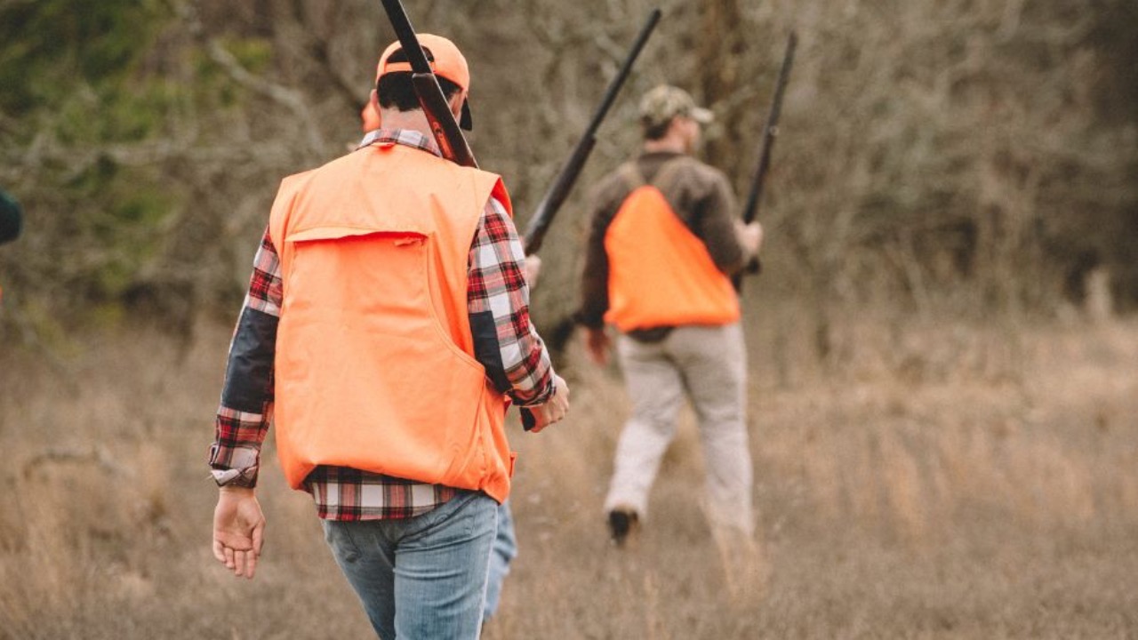 amurray175/Shutterstock.com
