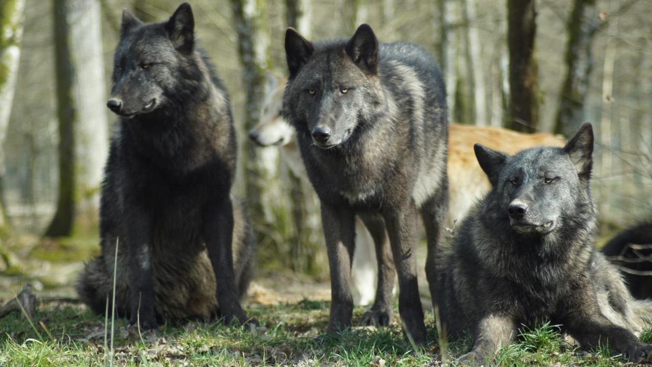 patrice schoefolt/Pexels