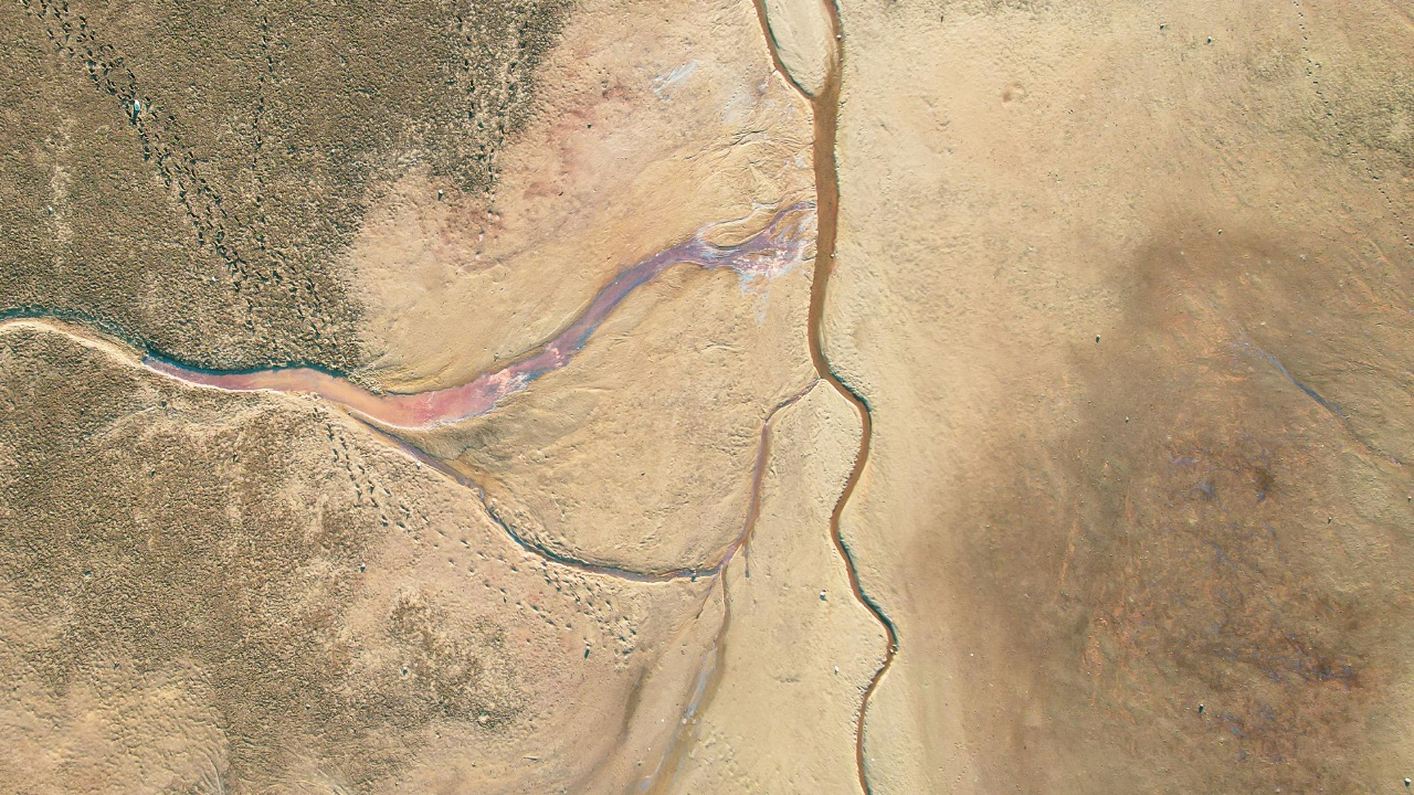 Vladimir Srajber/Pexels