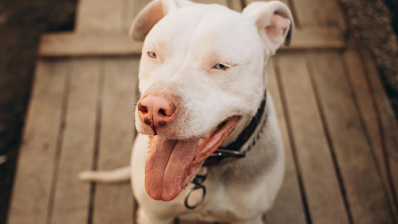 UMUT   🆁🅰🆆/Pexels