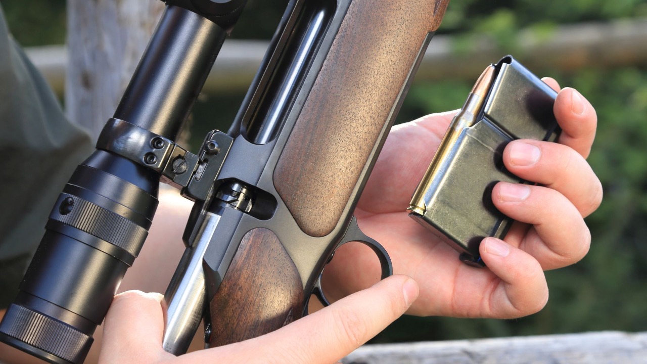 riopatuca/Shutterstock.com