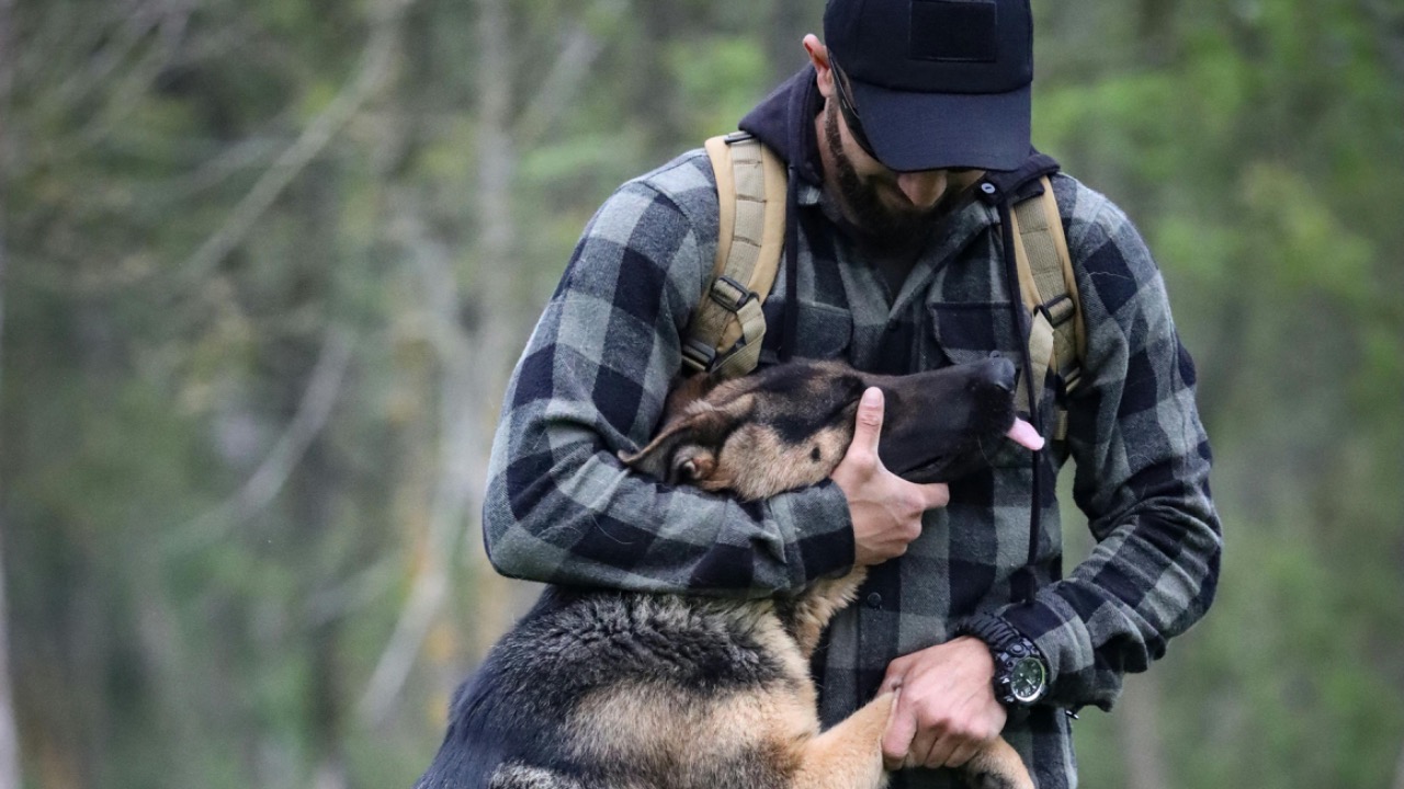 Saleh  Bakhshiyev/Pexels