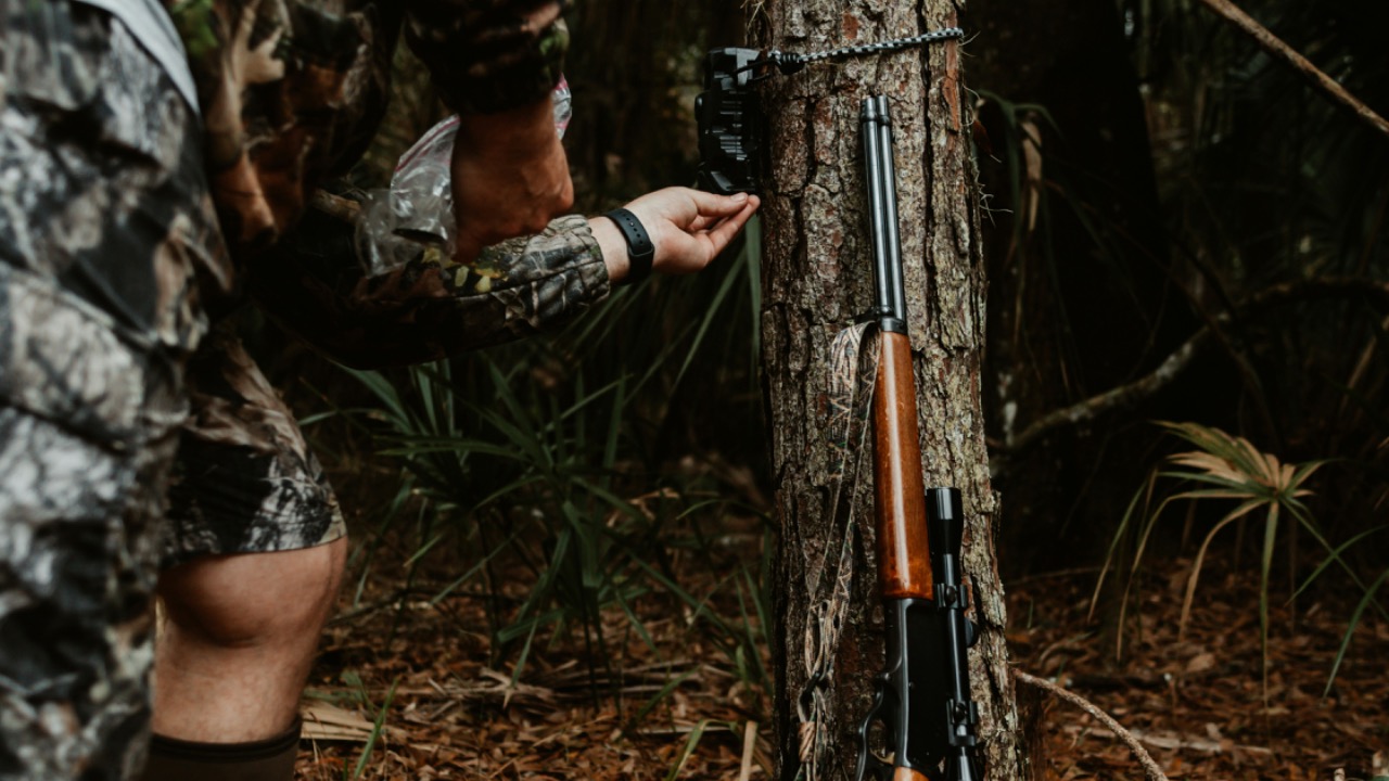 tayloradaugherty/Unsplash