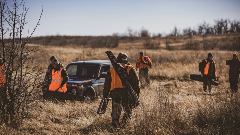 lastmanpaul/Unsplash