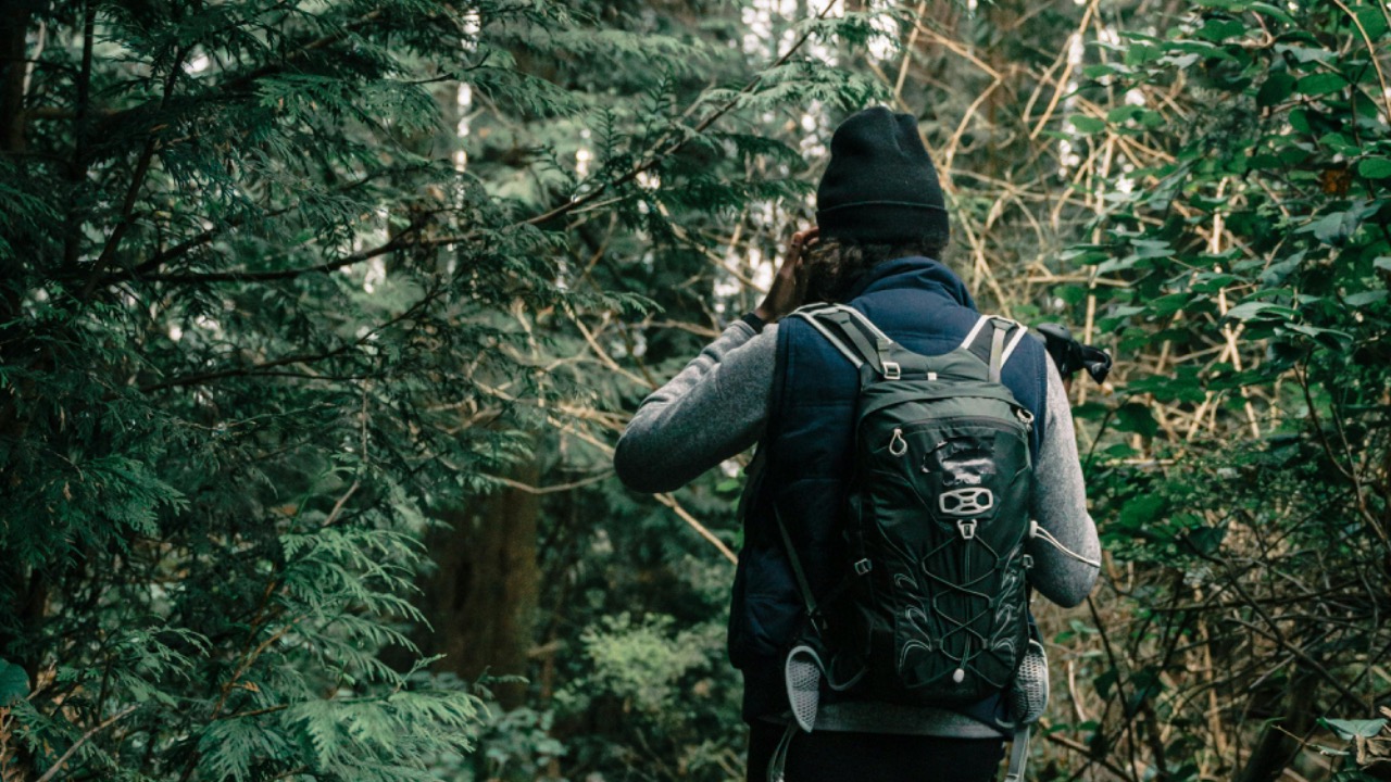 PNW Production/Pexels