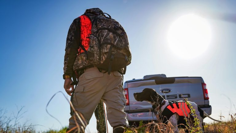 Arian Fernandez/Pexels