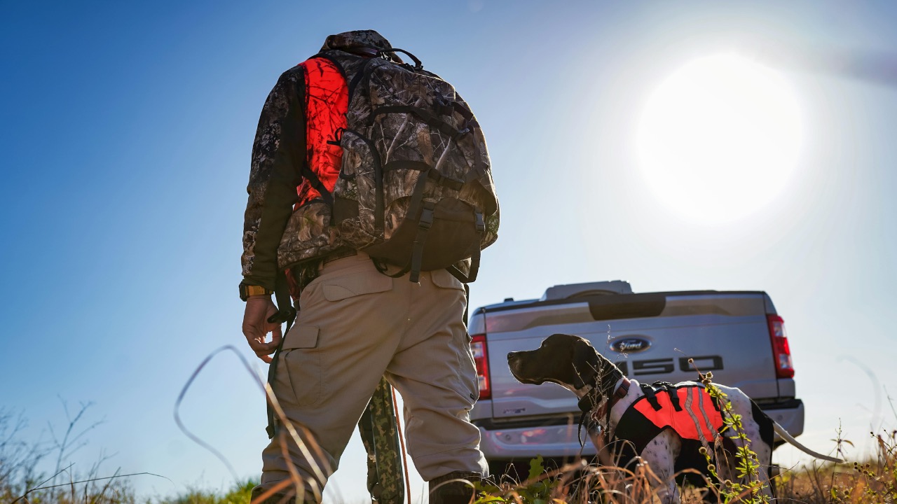 Arian Fernandez/Pexels