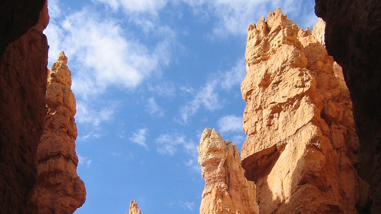 Image Credit: “Jon Zander (Digon3)” - CC BY-SA 3.0/Wiki Commons