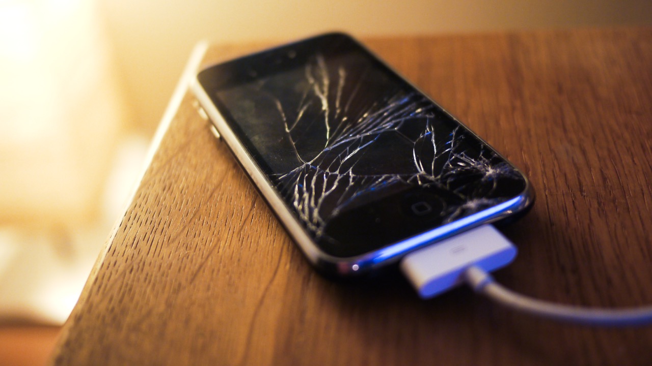 Image Credit: Håkan Dahlström from Malmö, Sweden - CC BY 2.0/Wiki Commons