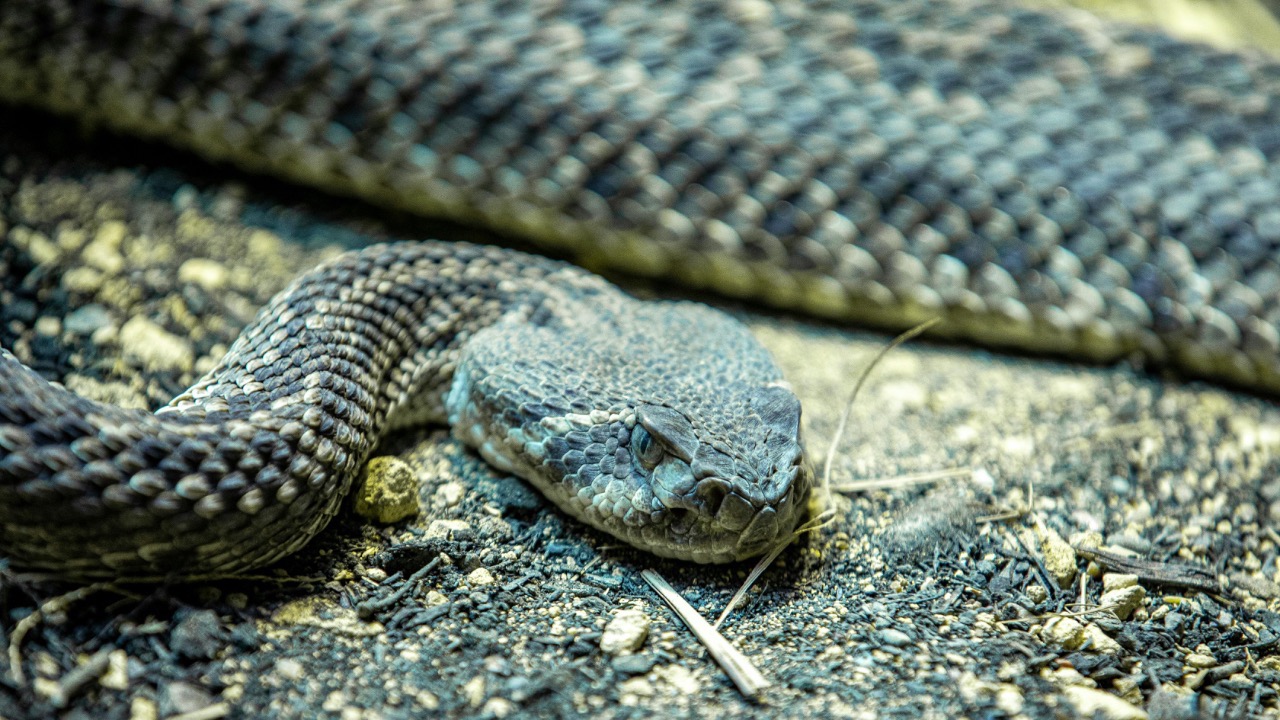 Meghav Gandhi/Pexels