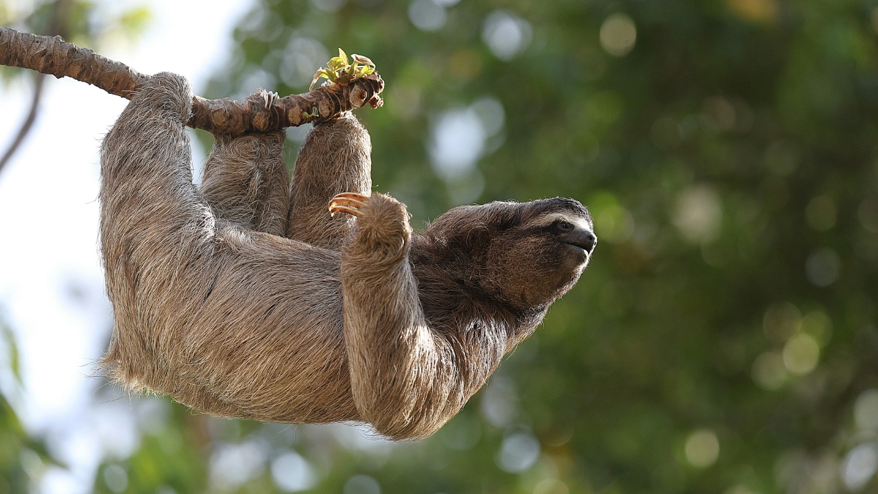 Veronika Andrews/Pexels