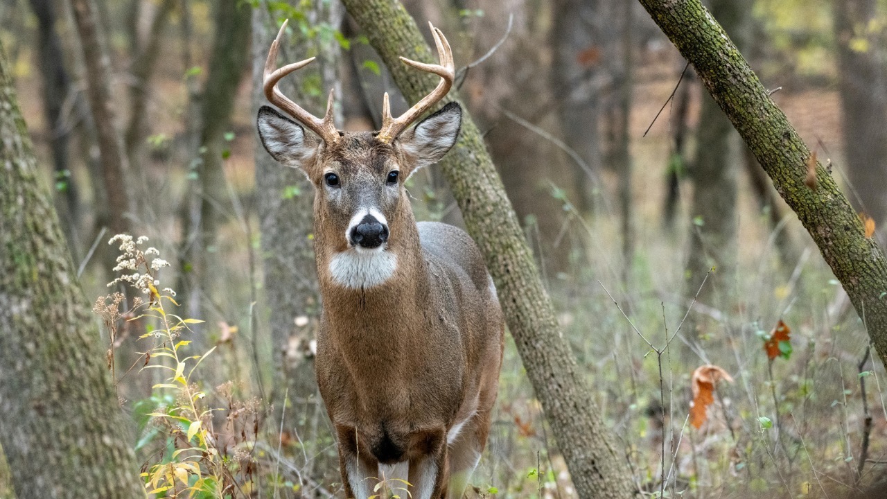 Andrew Patrick Photo/Pexels
