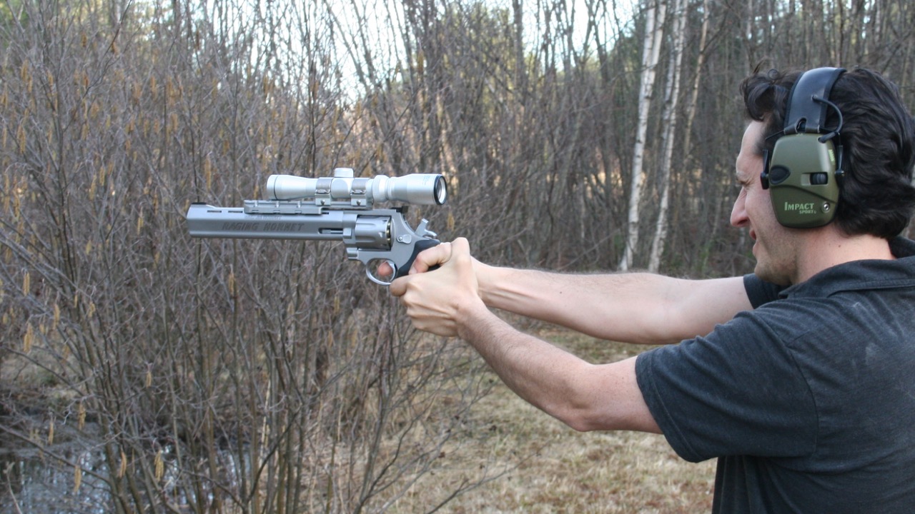 Image Credit: Noahsachs - CC BY-SA 4.0/Wiki Commons