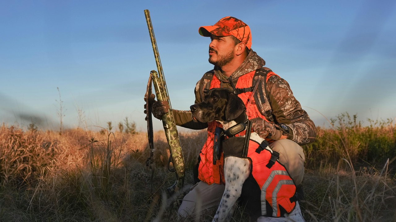 Arian Fernandez/Pexels