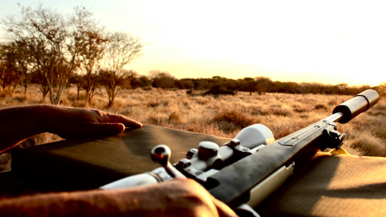 louisphotos24/Unsplash