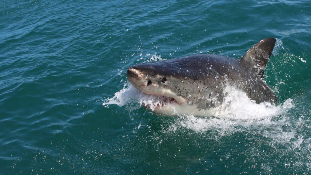 alexxasteyn/Unsplash