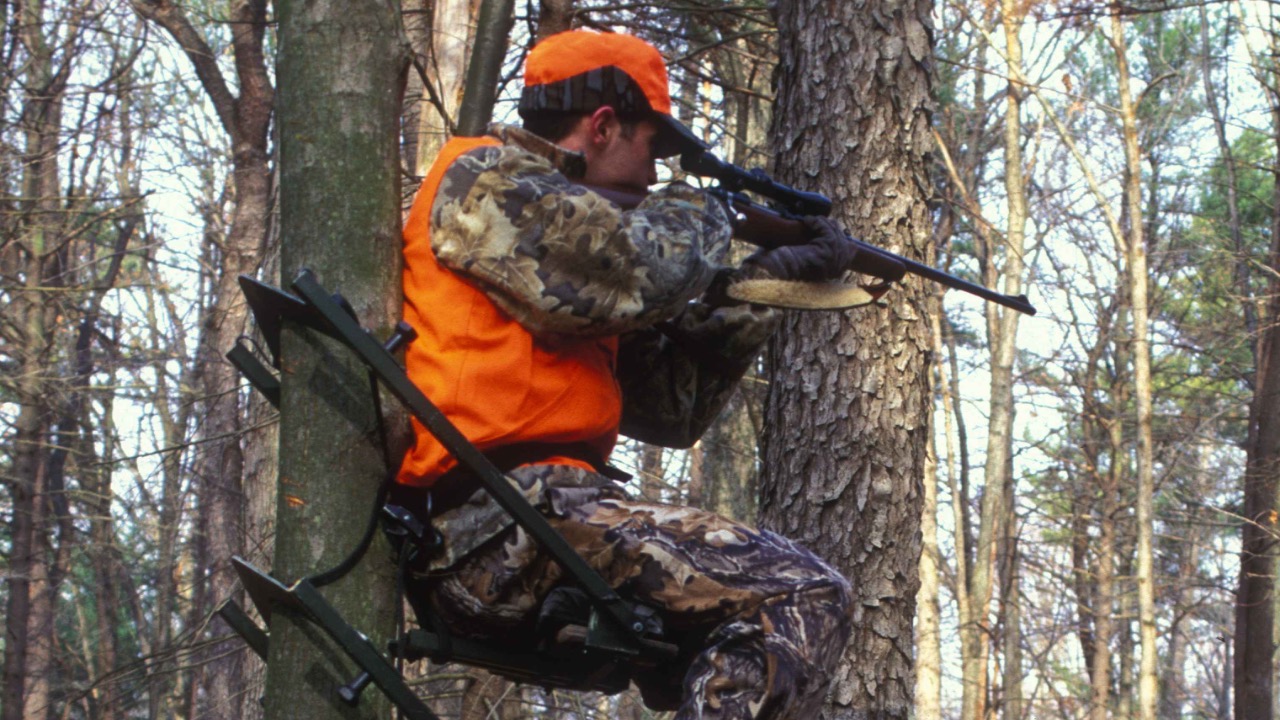 Image Credit: Maslowski Steve, U.S. Fish and Wildlife Service – Public domain/Wiki Commons