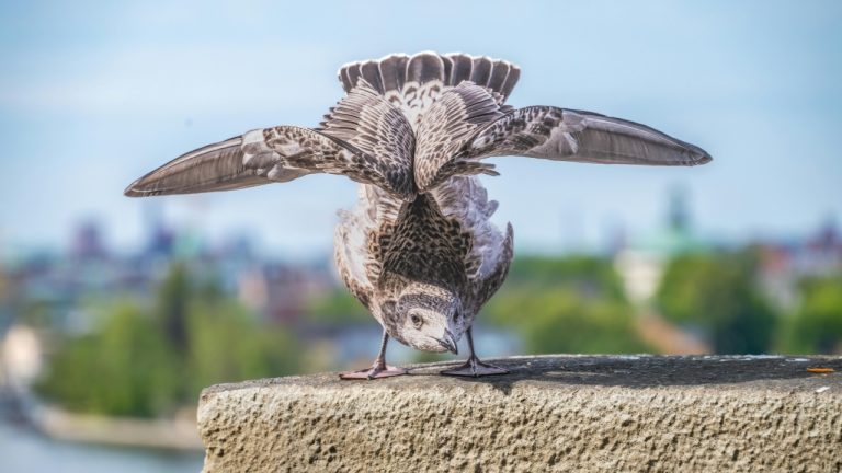 Siegfried Poepperl/Pexels