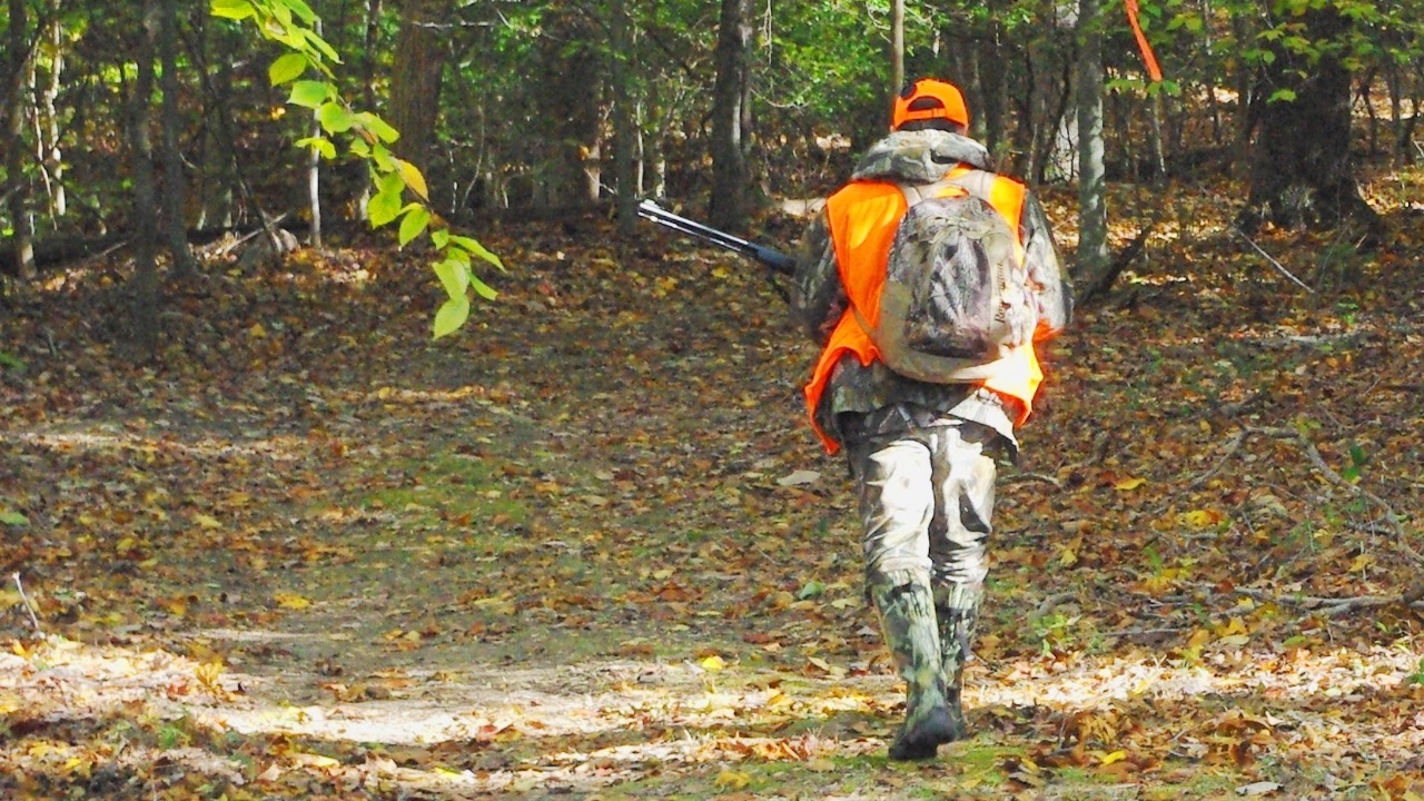 Image Credit: Virginia State Parks staff - CC BY 2.0/Wiki Commons