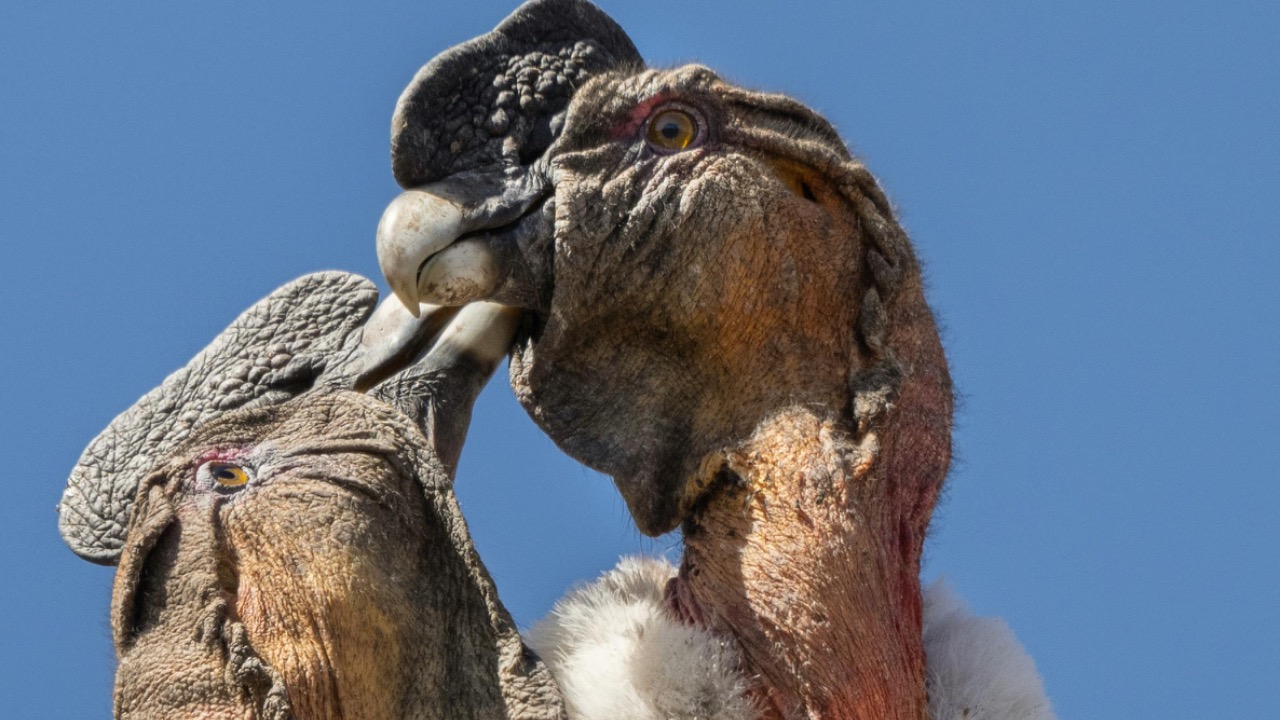 Miguel Cuenca/Pexels