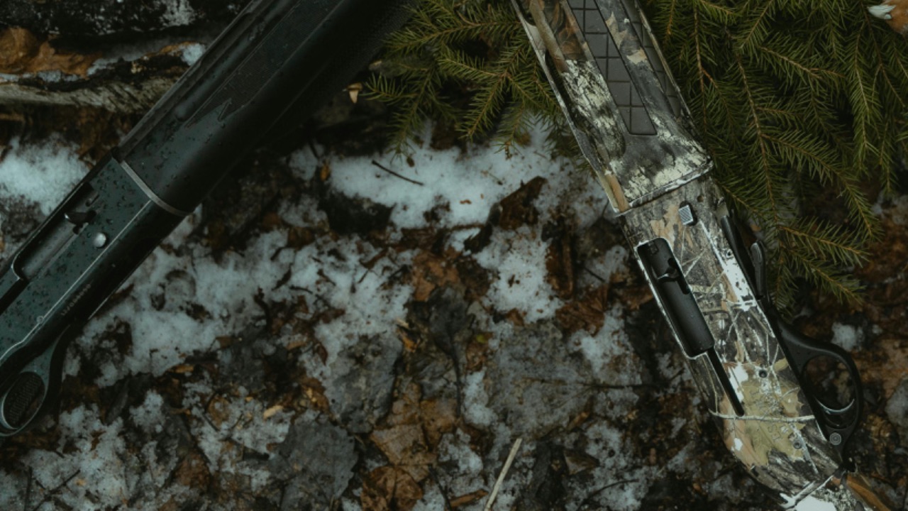 Tima Miroshnichenko/Pexels