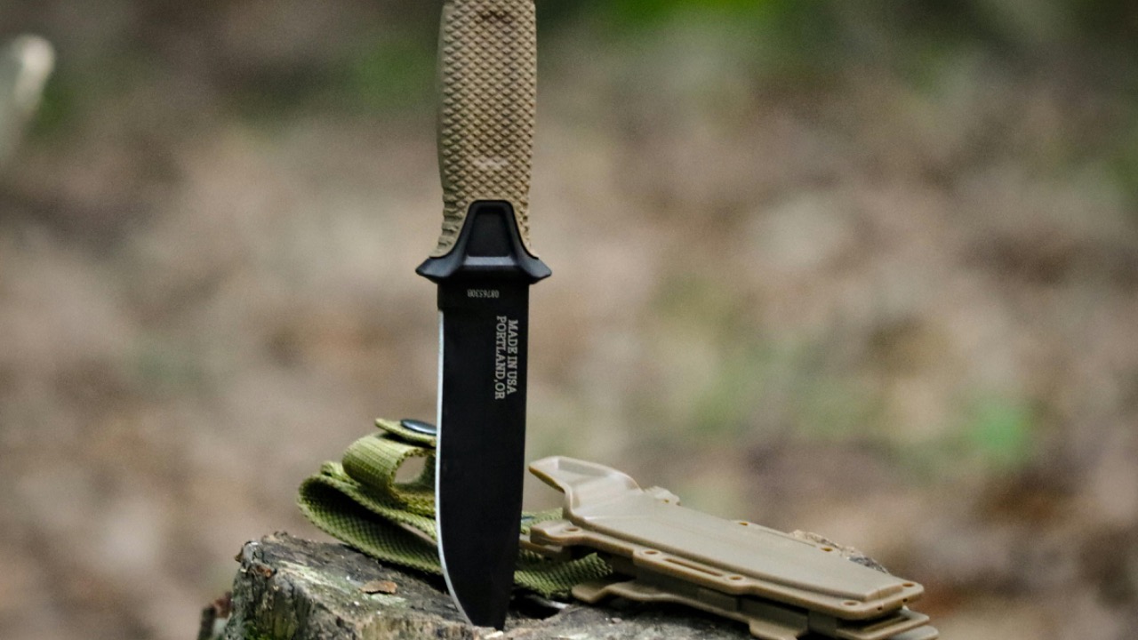 Saleh  Bakhshiyev/Pexels