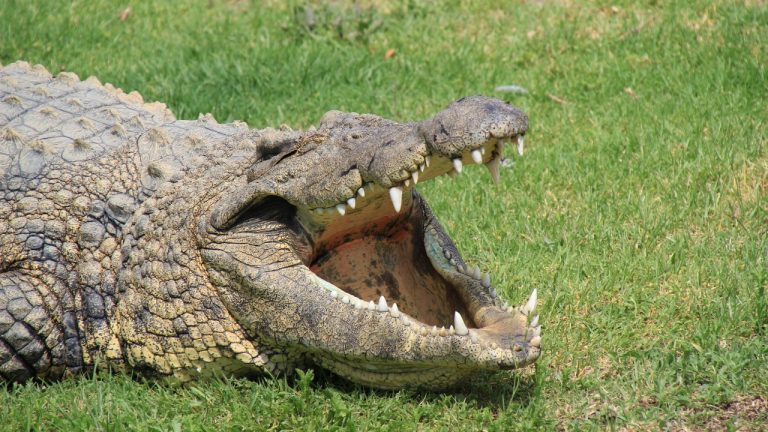 Cavit Gencturk/Pexels